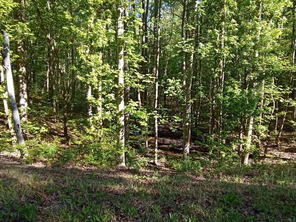 5 Acres of Residential Land for Sale in Monterey, Tennessee