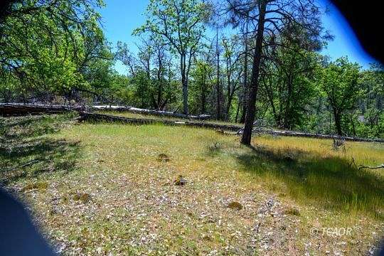 14.5 Acres of Land for Sale in Weaverville, California