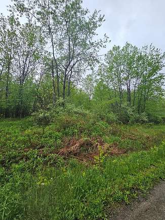 10 Acres of Land for Sale in Mansfield, Pennsylvania