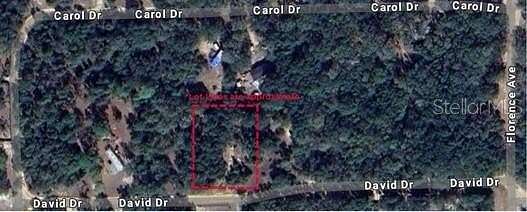 0.51 Acres of Residential Land for Sale in Interlachen, Florida