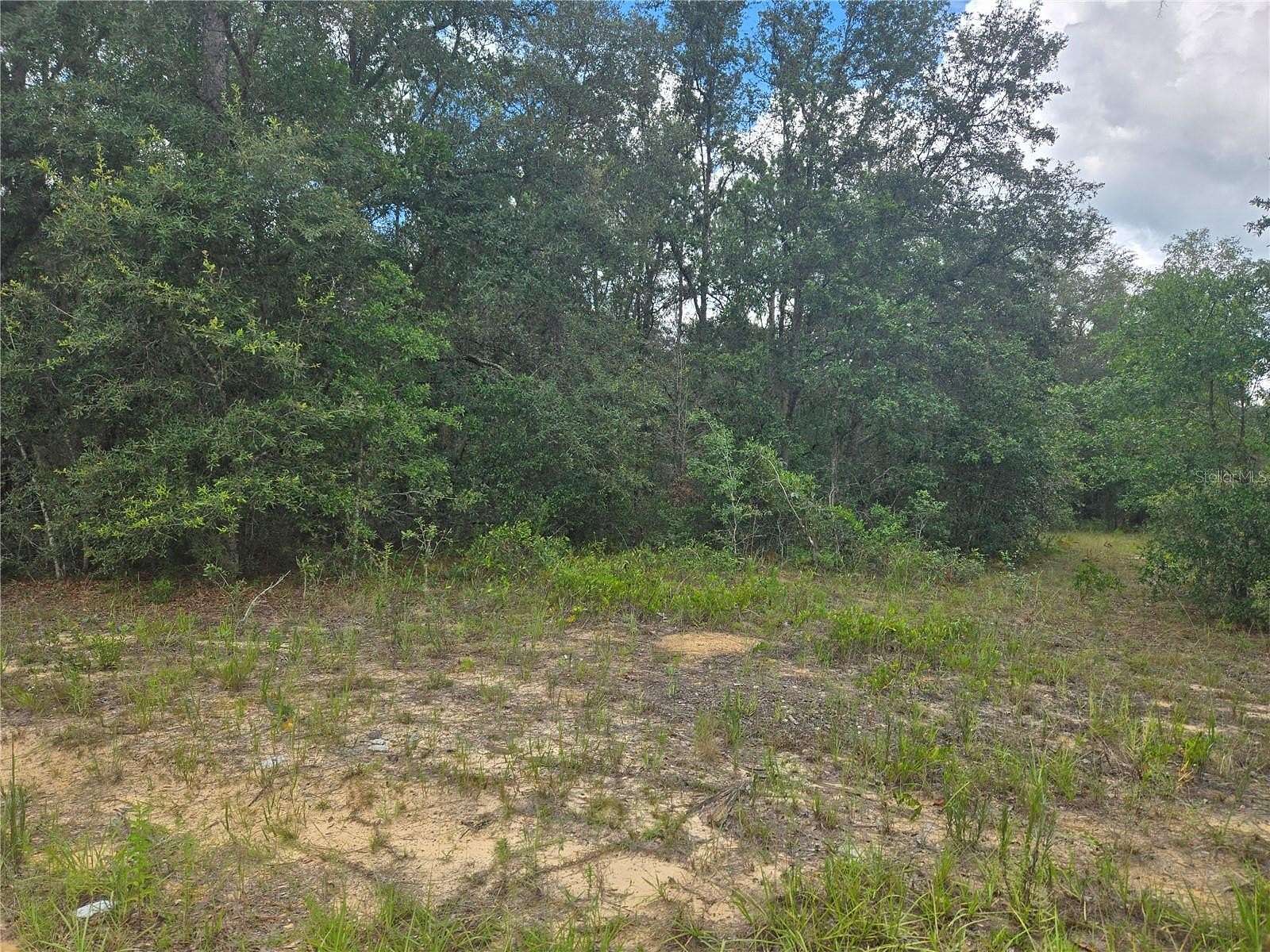 0.51 Acres of Residential Land for Sale in Interlachen, Florida
