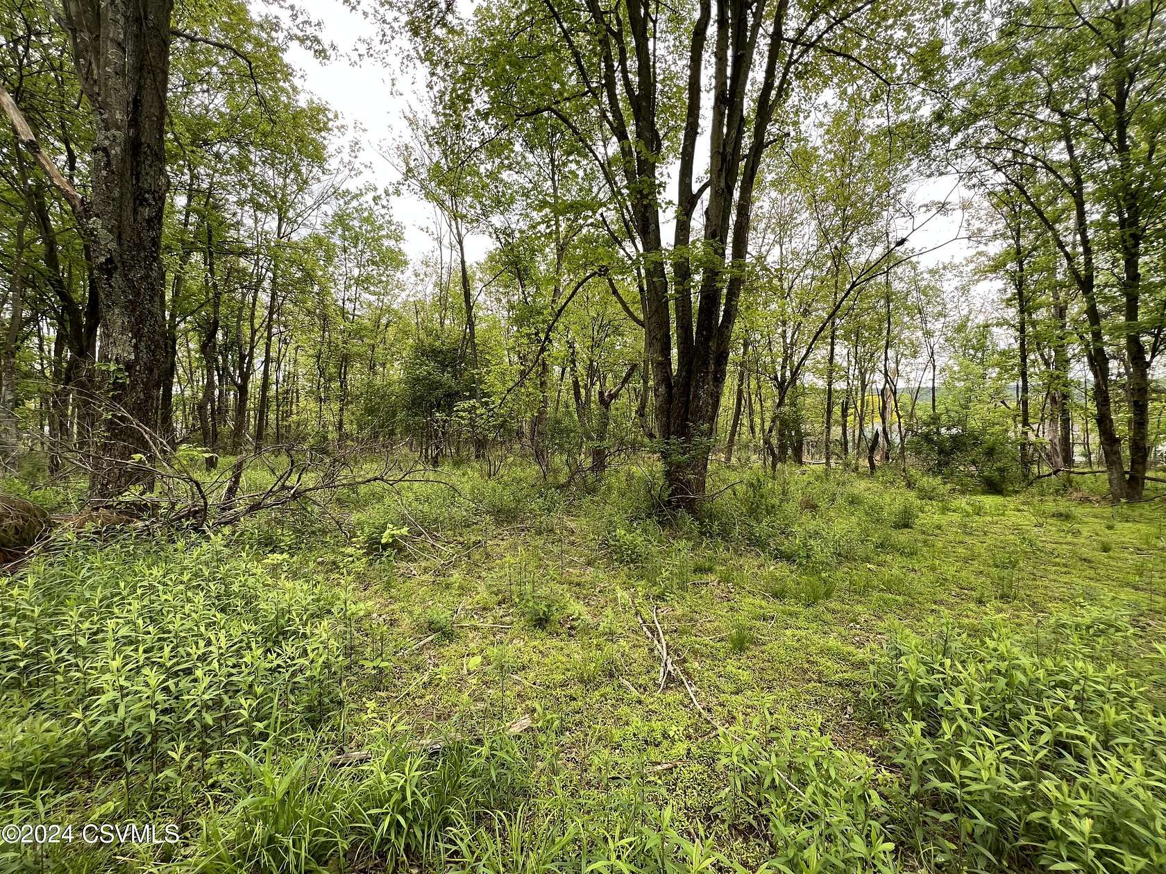 1.1 Acres of Land for Sale in Ralpho Township, Pennsylvania