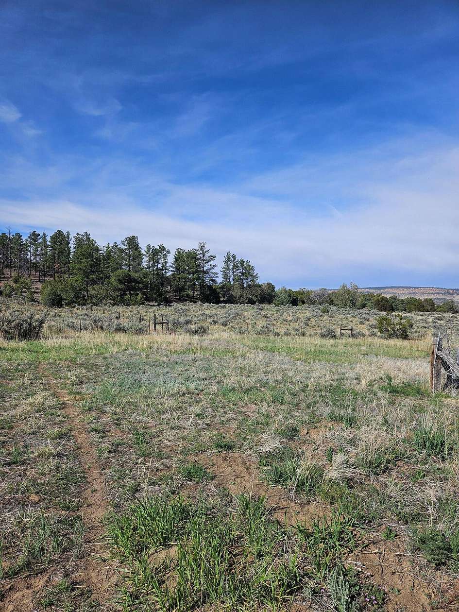 0.25 Acres of Land for Sale in Cuba, New Mexico