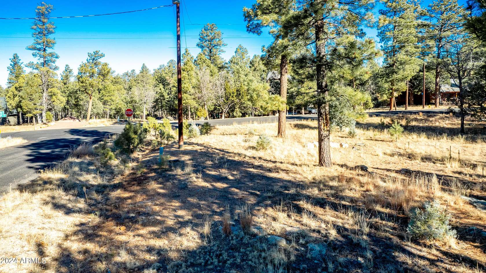 0.83 Acres of Residential Land for Sale in Happy Jack, Arizona