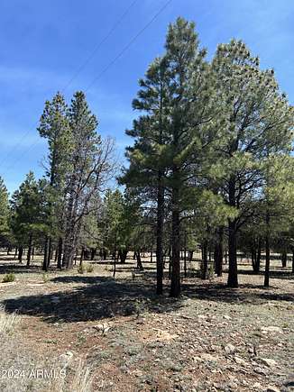 0.89 Acres of Residential Land for Sale in Happy Jack, Arizona