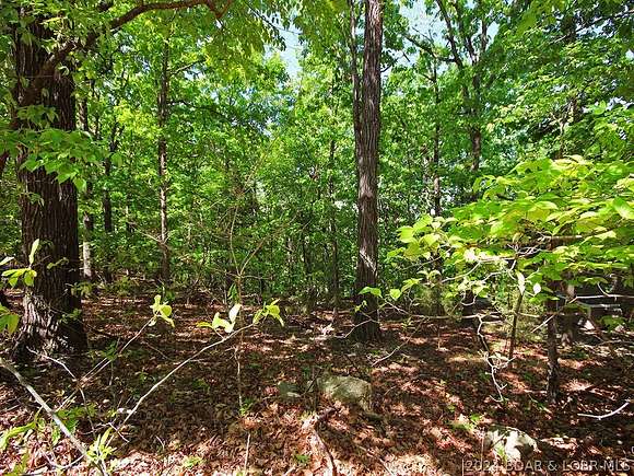 0.23 Acres of Residential Land for Sale in Stover, Missouri