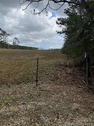 7.9 Acres of Land for Sale in Longville, Louisiana