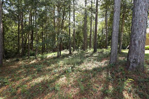 0.19 Acres of Residential Land for Sale in Hattiesburg, Mississippi