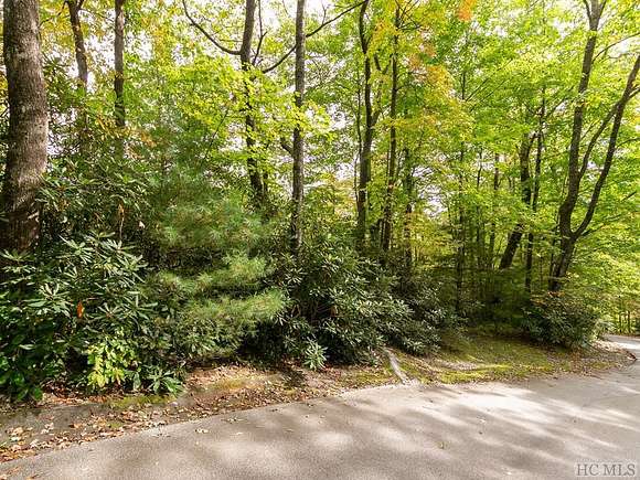 1.1 Acres of Land for Sale in Sapphire, North Carolina