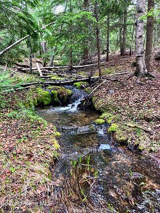 19.47 Acres of Recreational Land for Sale in Sandpoint, Idaho