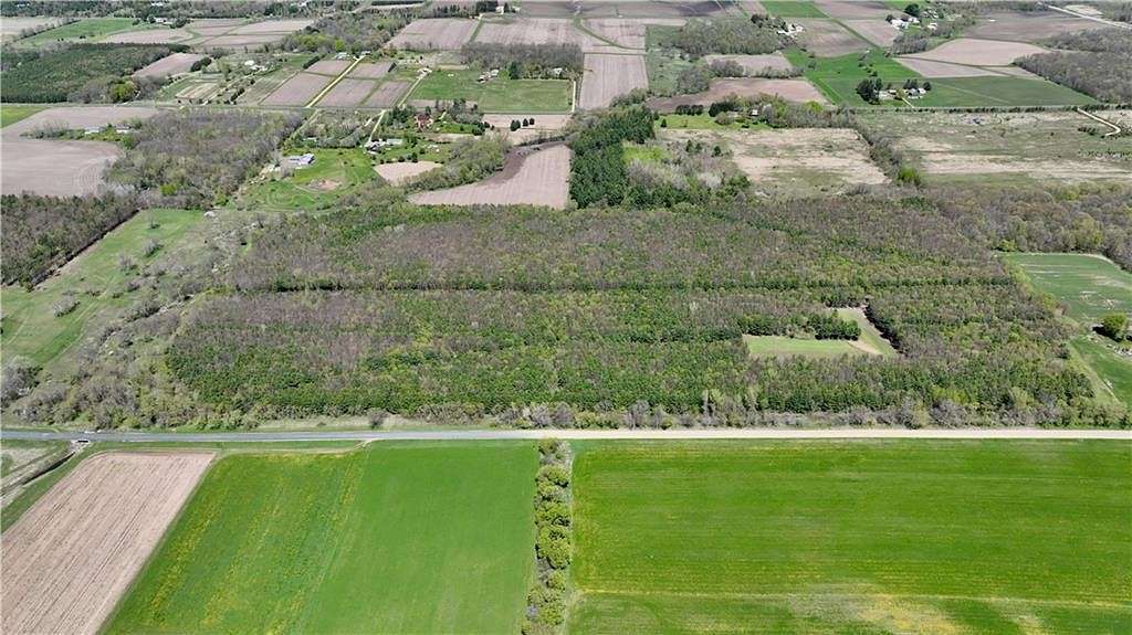 79.6 Acres of Recreational Land & Farm for Sale in Baldwin, Wisconsin