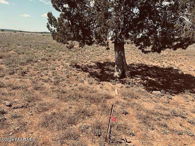 1 Acre of Residential Land for Sale in Seligman, Arizona