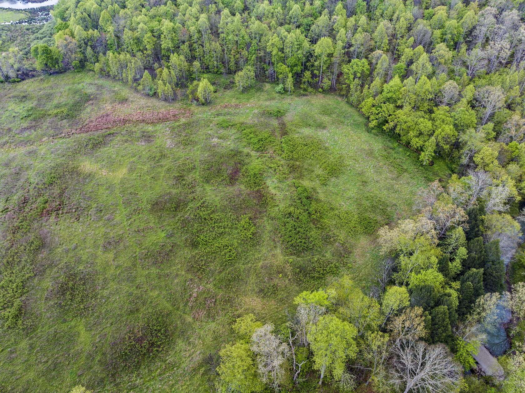 35 Acres of Agricultural Land for Sale in Tyner, Kentucky