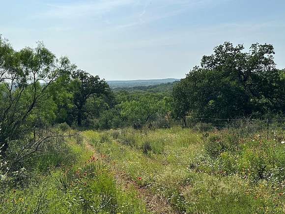 75 Acres of Agricultural Land for Sale in Mason, Texas