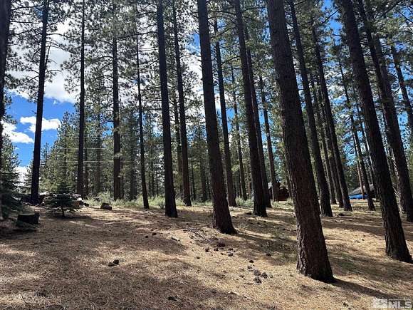 0.35 Acres of Residential Land for Sale in Markleeville, California