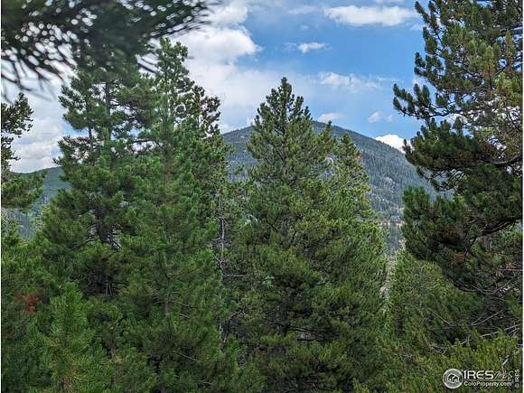 1.5 Acres of Residential Land for Sale in Red Feather Lakes, Colorado