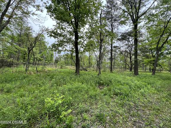 1 Acre of Land for Sale in Elysburg, Pennsylvania