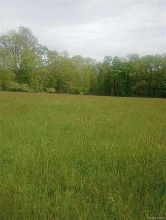 40.3 Acres of Land for Sale in Minisink Town, New York