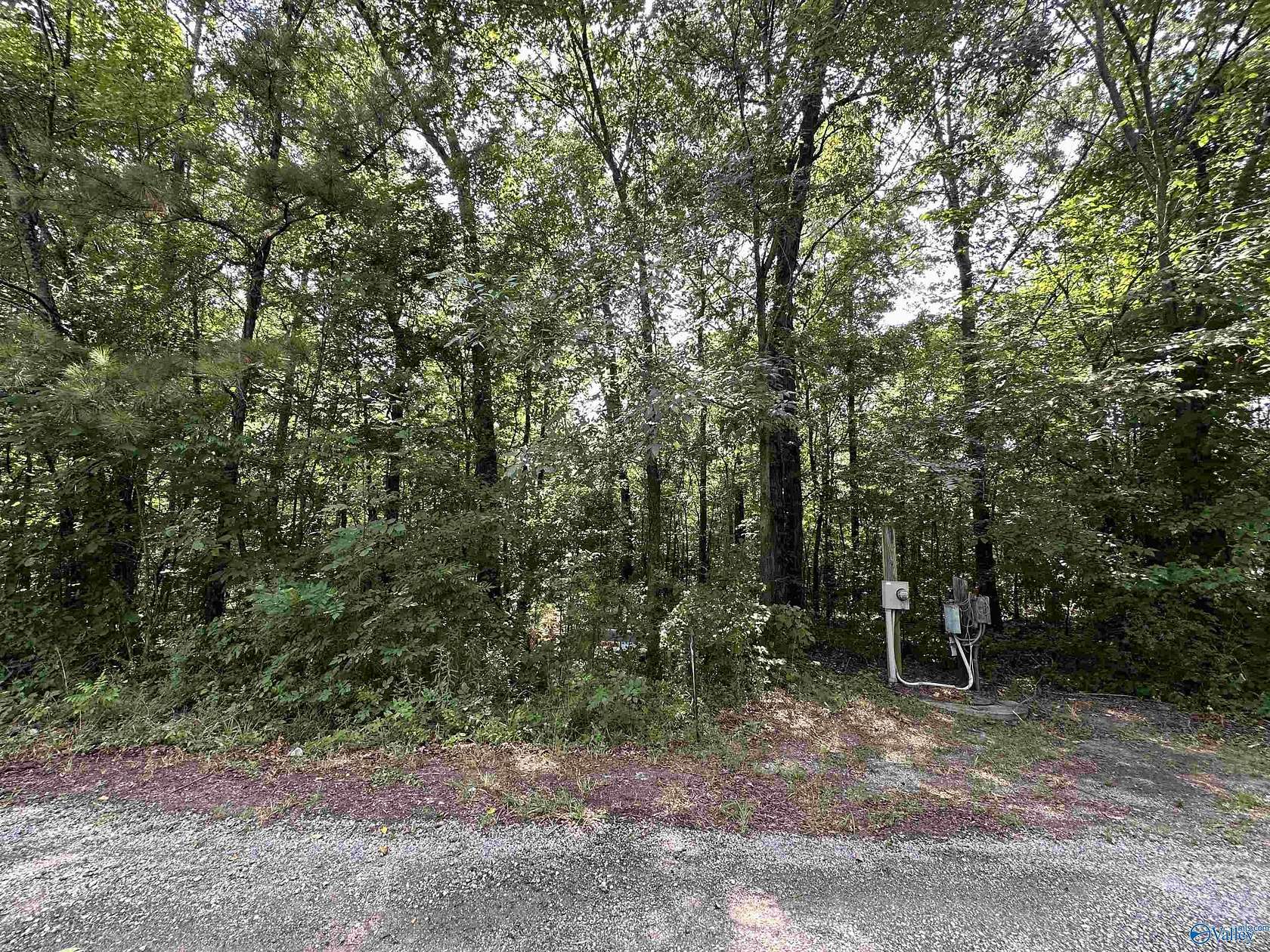 0.38 Acres of Residential Land for Sale in Cedar Bluff, Alabama