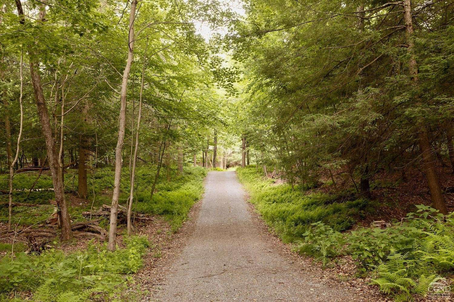 9 Acres of Residential Land with Home for Sale in Copake, New York