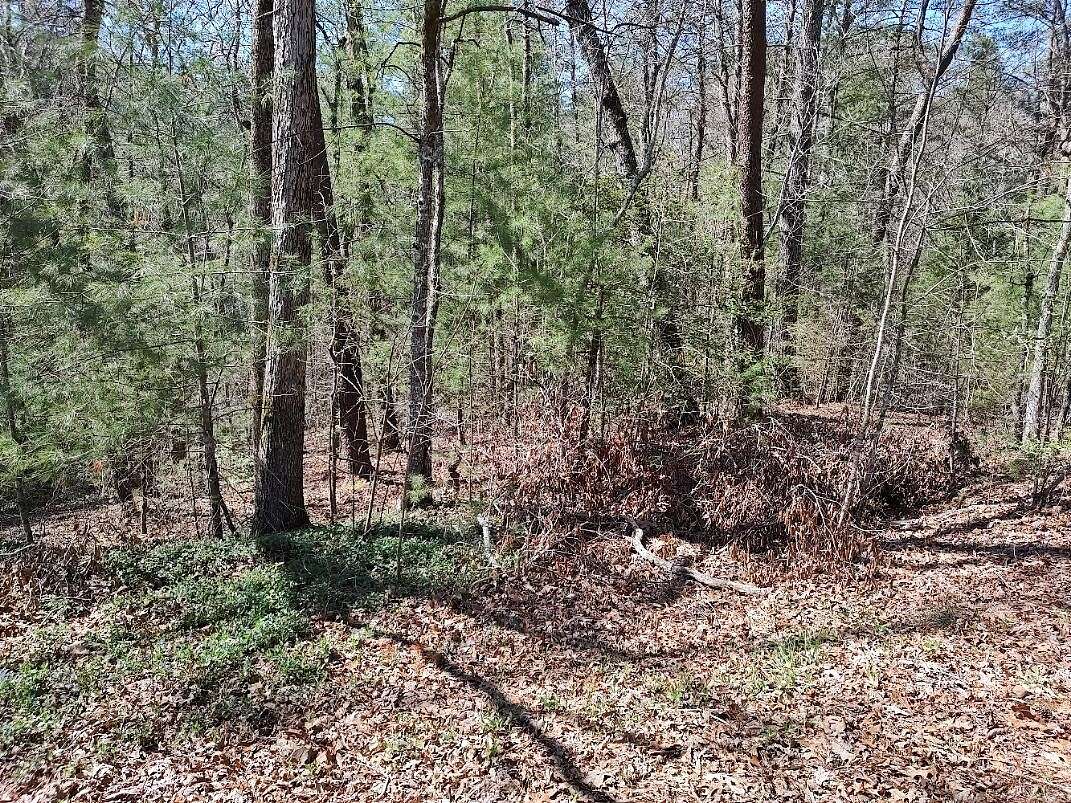 1 Acres of Residential Land for Sale in Sevierville, Tennessee