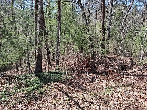 1 Acre of Residential Land for Sale in Sevierville, Tennessee