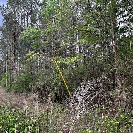 6.2 Acres of Residential Land for Sale in Magnolia, Mississippi
