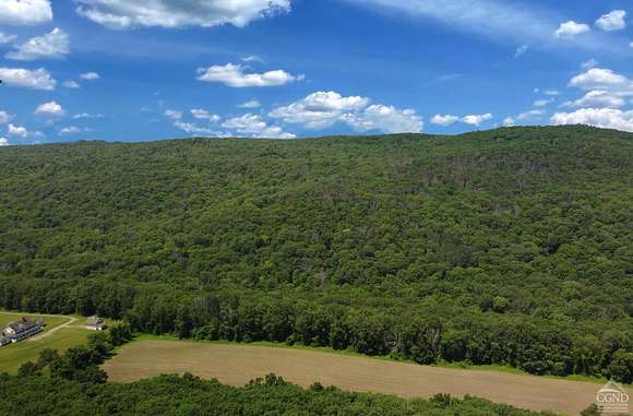 49.63 Acres of Land for Sale in Amenia, New York