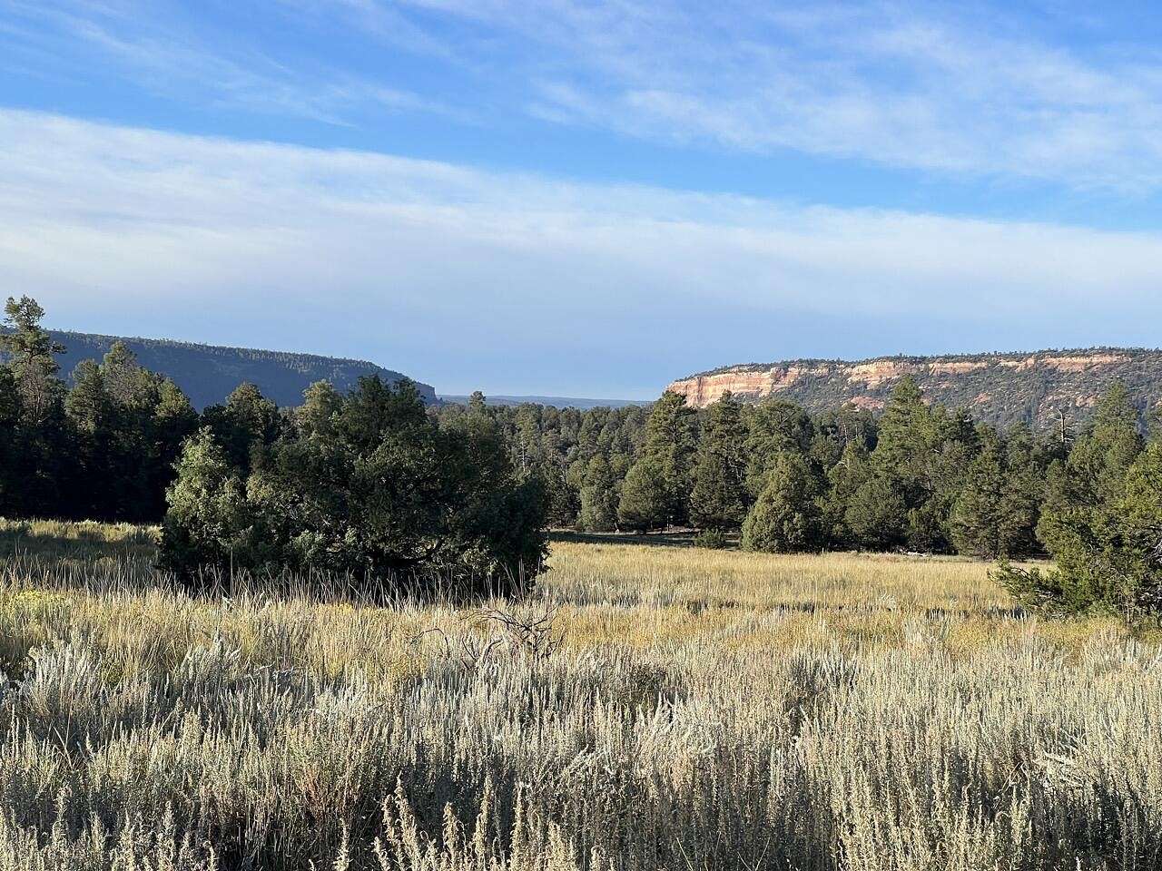 7.1 Acres of Residential Land for Sale in Ramah, New Mexico