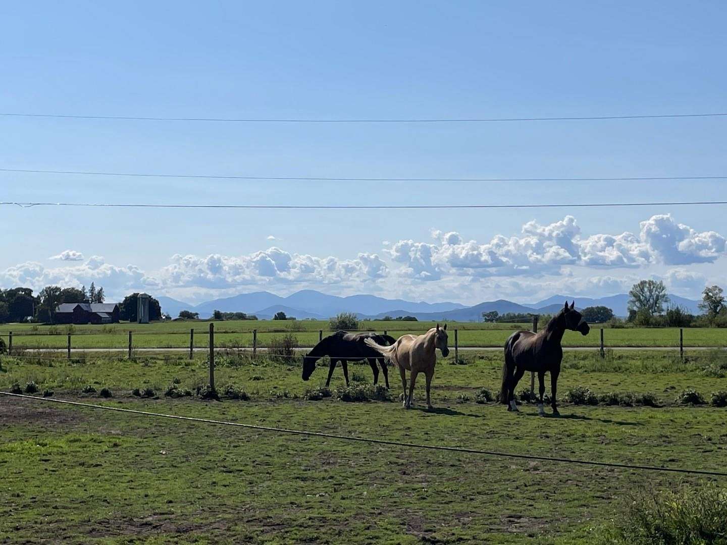 31.2 Acres of Agricultural Land for Sale in Charlotte, Vermont