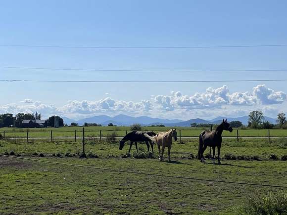 31.2 Acres of Agricultural Land for Sale in Charlotte, Vermont