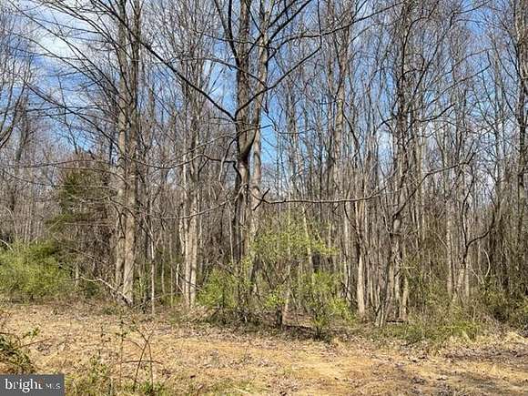 5 Acres of Residential Land for Sale in Fairfax, Virginia