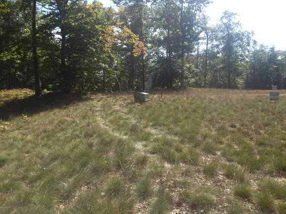 0.53 Acres of Land for Sale in Mears, Michigan