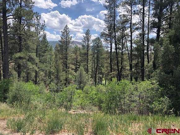 3.79 Acres of Residential Land for Sale in Pagosa Springs, Colorado