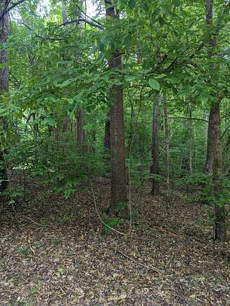 0.23 Acres of Residential Land for Sale in North Augusta, South Carolina