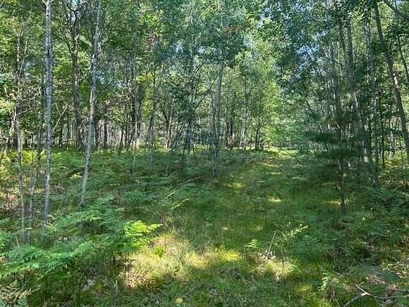 80 Acres of Land for Sale in Lake City, Michigan