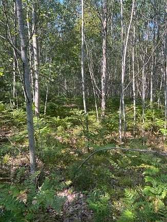 80 Acres Of Land For Sale In Lake City, Michigan - Landsearch