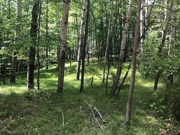 0.44 Acres of Residential Land for Sale in Stanwood, Michigan