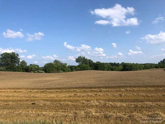 3 Acres of Land for Sale in Brooklyn, Michigan