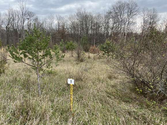 1.5 Acres of Residential Land for Sale in Canadian Lakes, Michigan