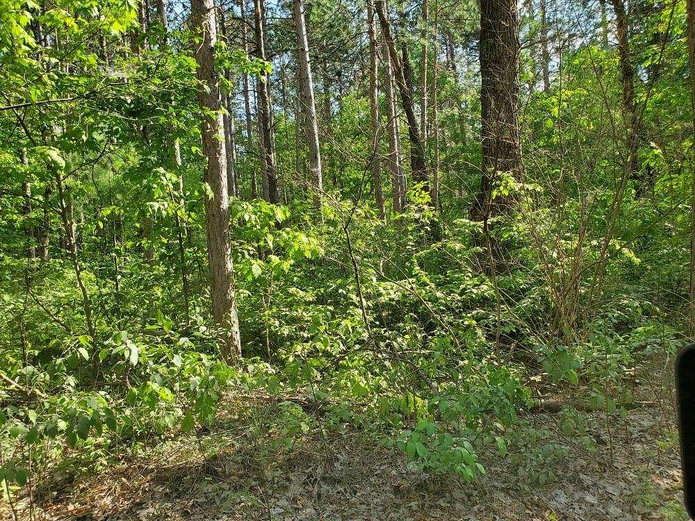 0.49 Acres of Land for Sale in Baldwin, Michigan