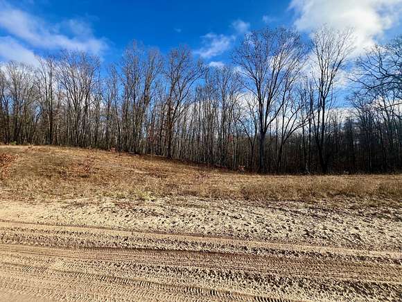 20 Acres of Land for Sale in Chase, Michigan