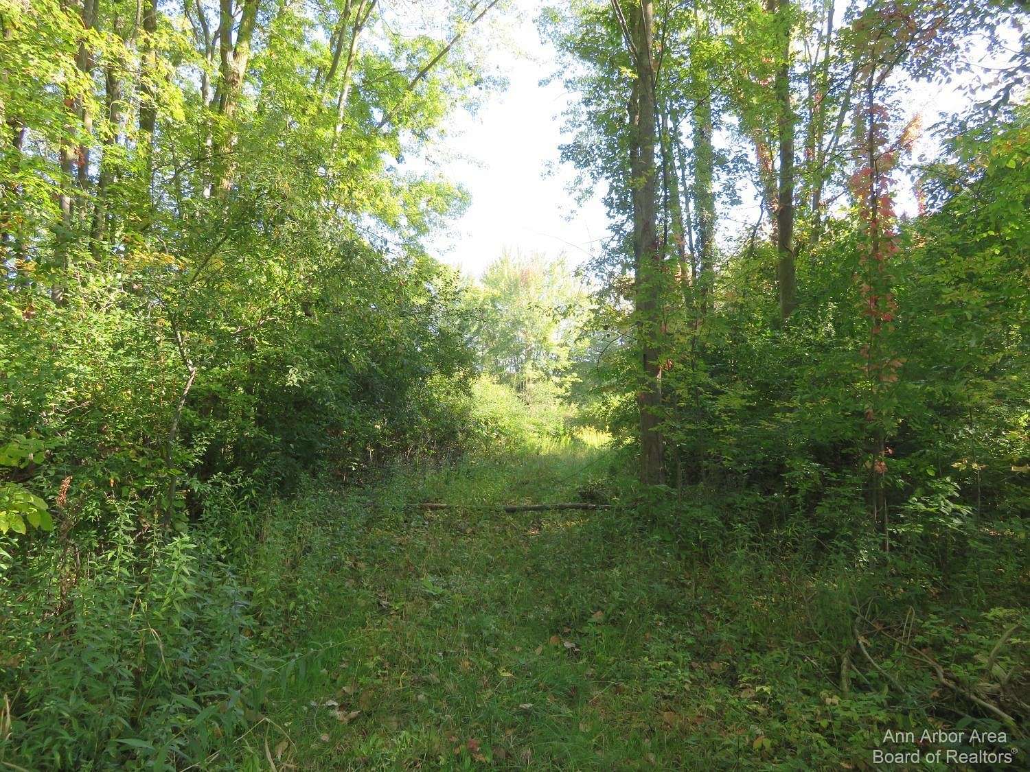36 Acres of Recreational Land for Sale in Milan, Michigan