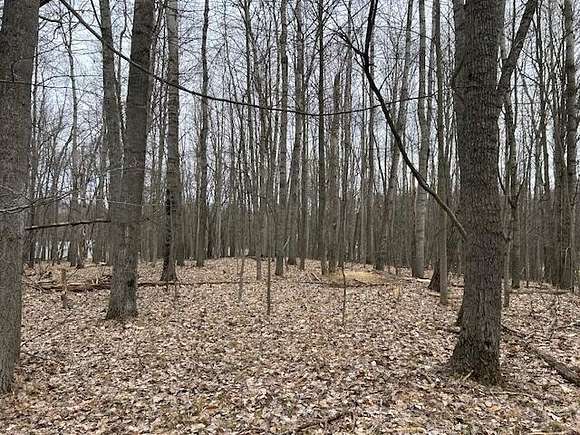0.44 Acres of Land for Sale in Canadian Lakes, Michigan