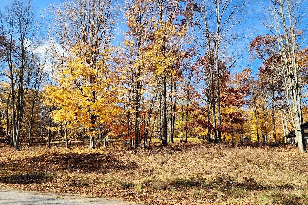 0.48 Acres of Residential Land for Sale in Canadian Lakes, Michigan
