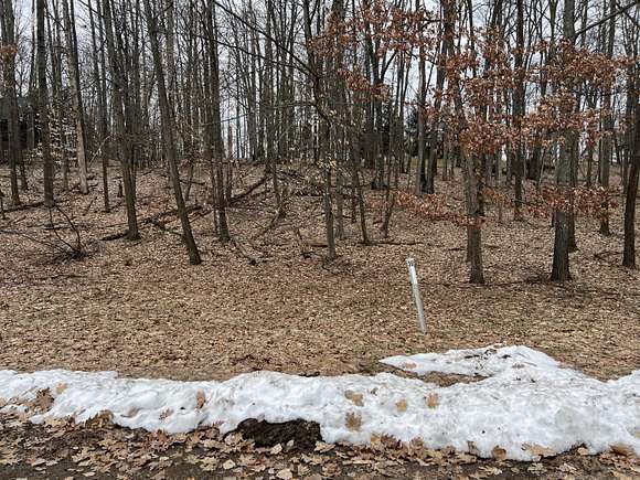 0.3 Acres of Residential Land for Sale in Canadian Lakes, Michigan
