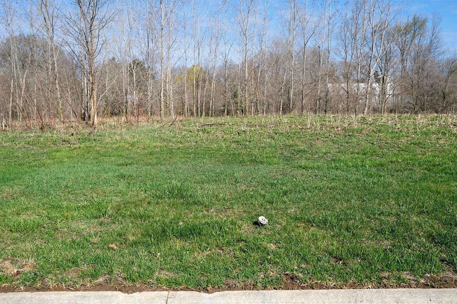 0.5 Acres of Residential Land for Sale in Willis, Michigan