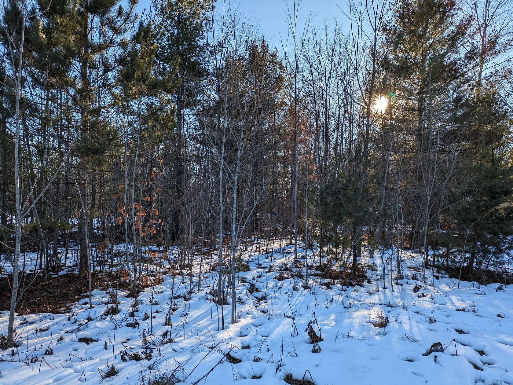 0.46 Acres of Residential Land for Sale in Kaleva, Michigan