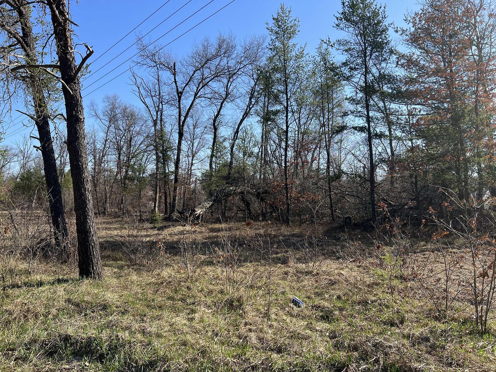 0.17 Acres of Land for Sale in Idlewild, Michigan