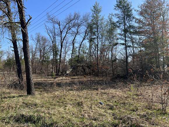 0.17 Acres of Land for Sale in Idlewild, Michigan